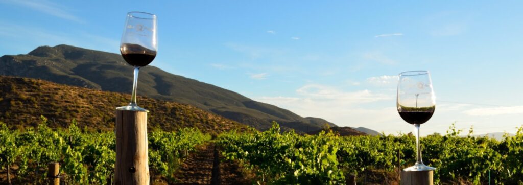 Valle de Guadalupe Private Transportation