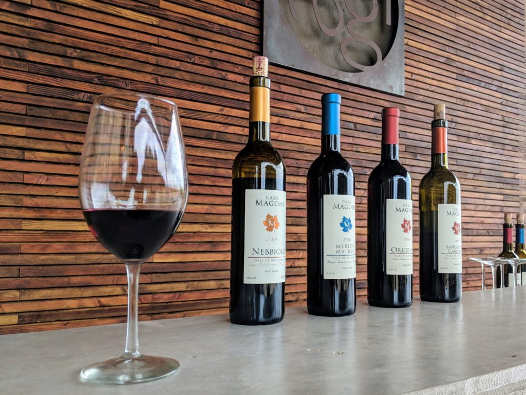 Casa Magoni winery, Valle de Guadalupe