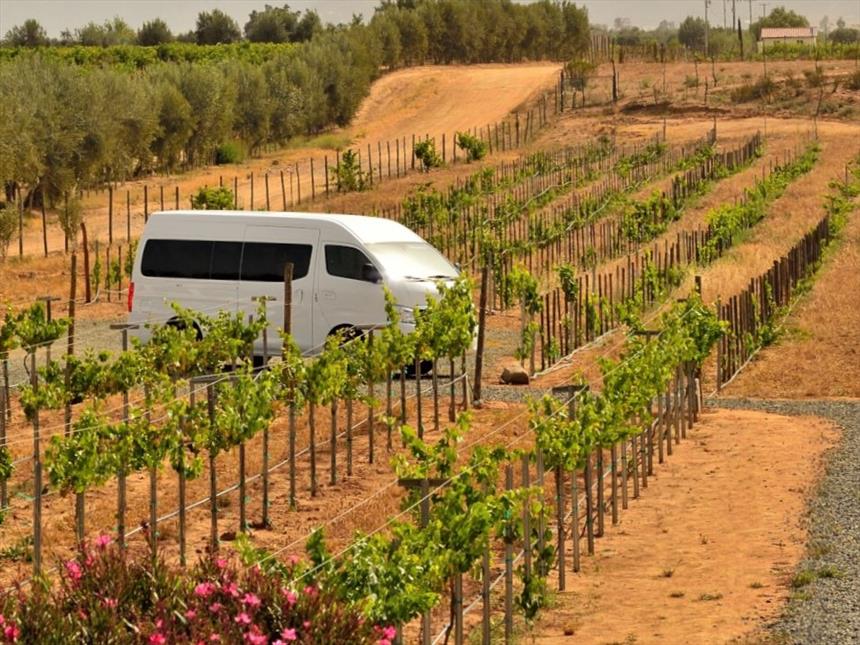 Valle de Guadalupe Transportation