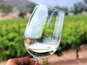 Valle de Guadalupe Wine tours and transportation