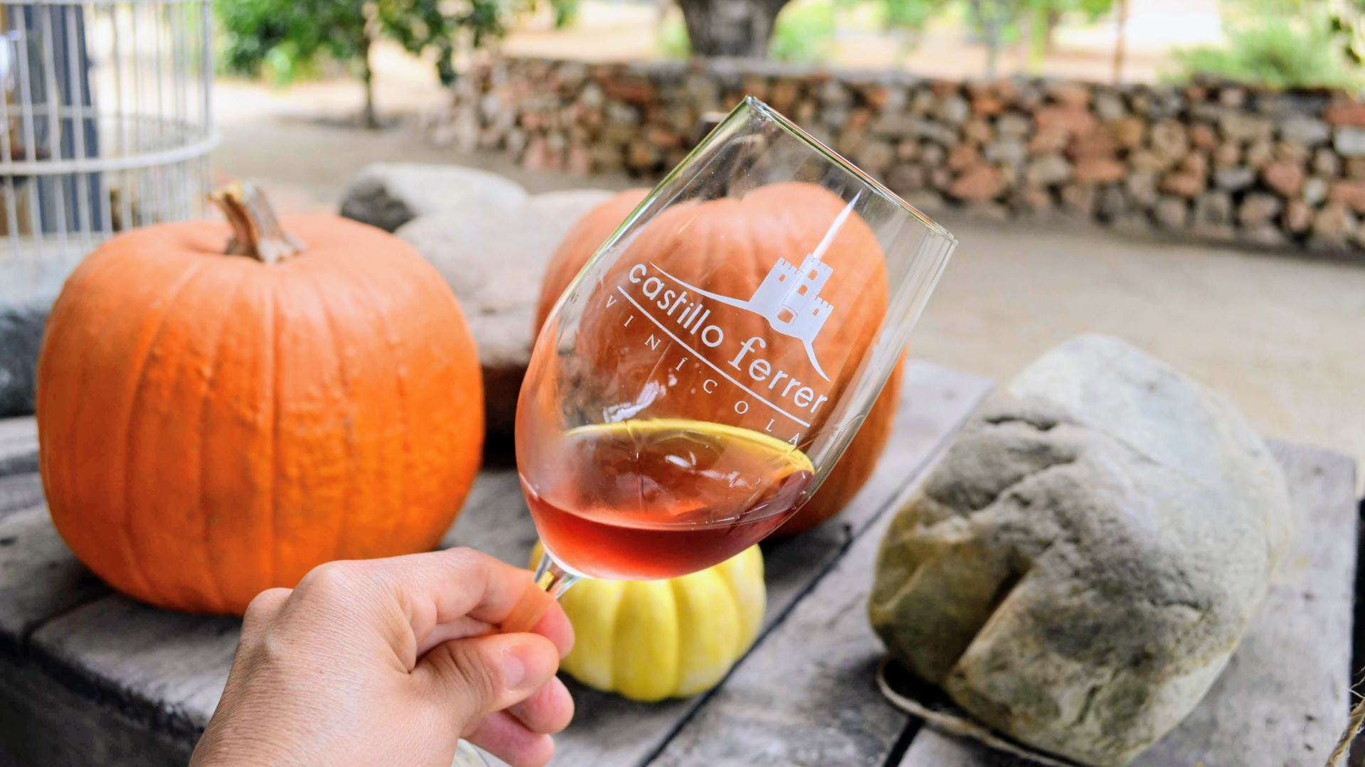 Autumn wine experiences in Valle de Guadalupe